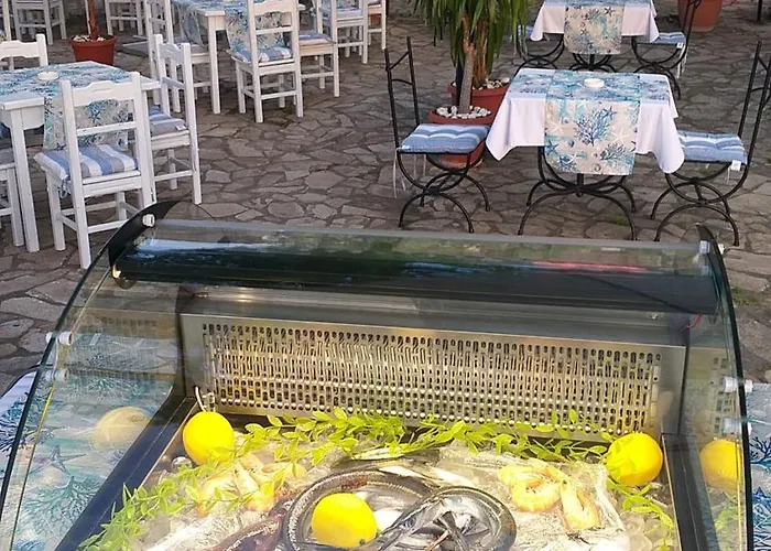 斯坦科夫酒店 酒店 3*