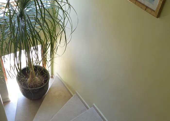 斯坦科夫酒店 酒店 3*