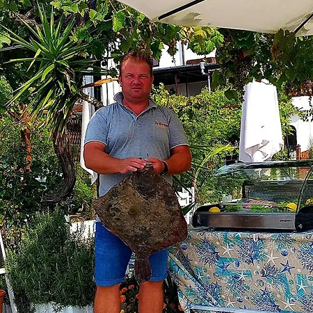 Stankoff Hotel Nesebar