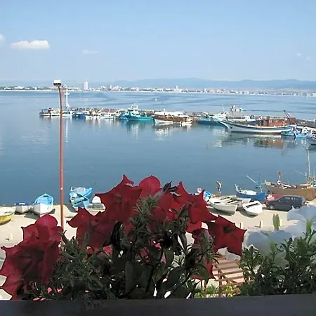 Stankoff 3* Nesebar